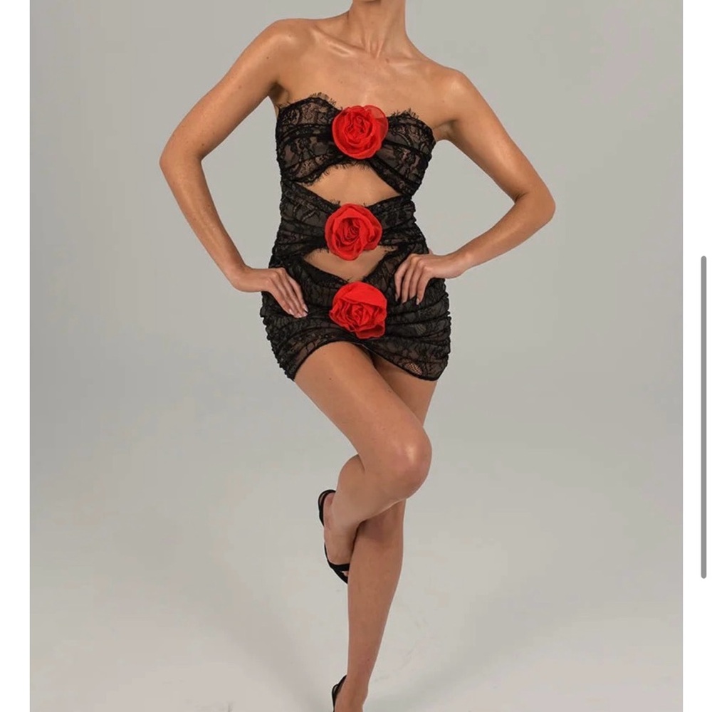 The Dolls House Black Lace Dress with Red Rose Accents (New)